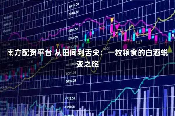 南方配资平台 从田间到舌尖：一粒粮食的白酒蜕变之旅